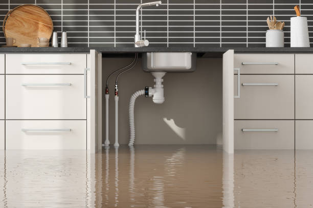 Professional Water damage restoration in Glasgow Village, MO